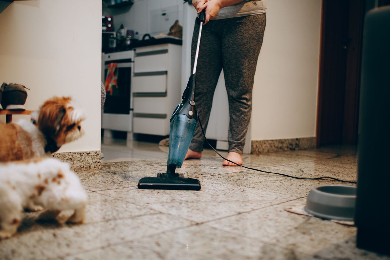 A woman vacuuming the floor while a dog looks on closely. Indoor home setting.
